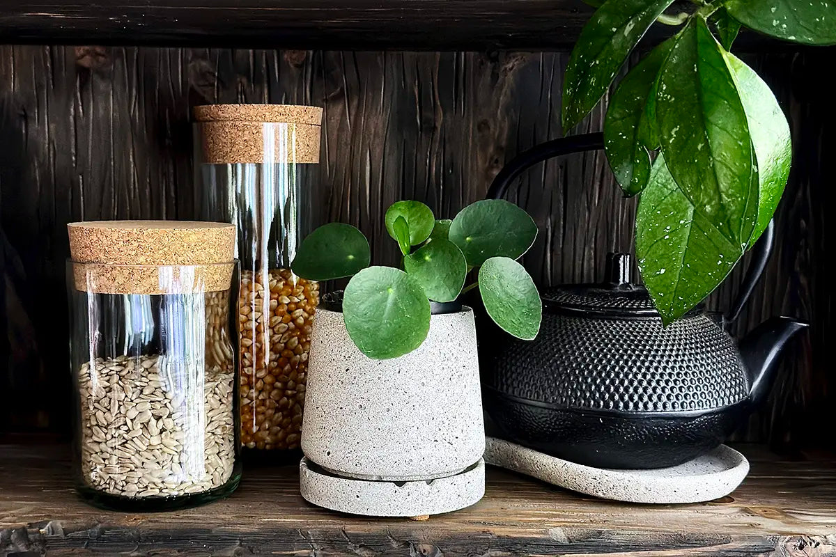 Wohnaccessoires aus Beton und Upcycling-Glas mit Pflanztopf, Vorratsgläsern und Untersetzer auf dunklem Holzregal