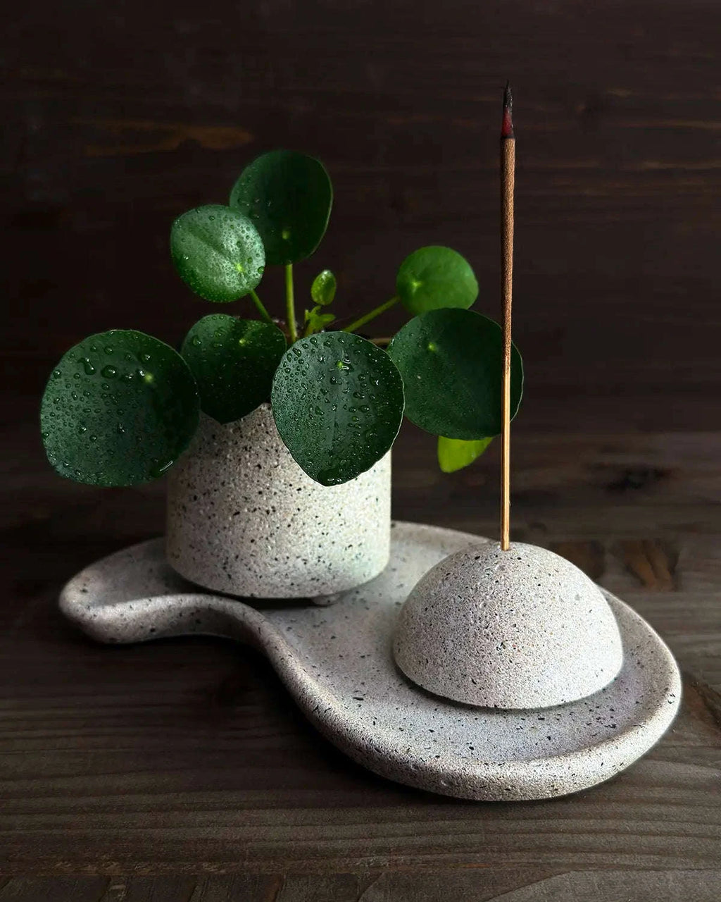 Betonhalter für Räucherwerk neben Pilea auf organischem Betonteller.