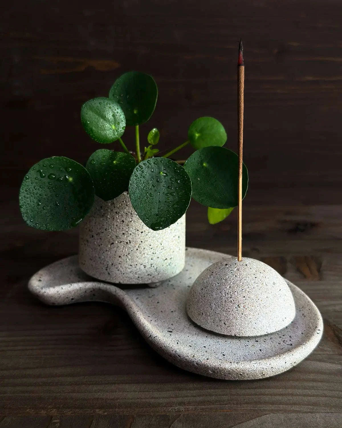 Betonhalter für Räucherwerk neben Pilea auf organischem Betonteller.