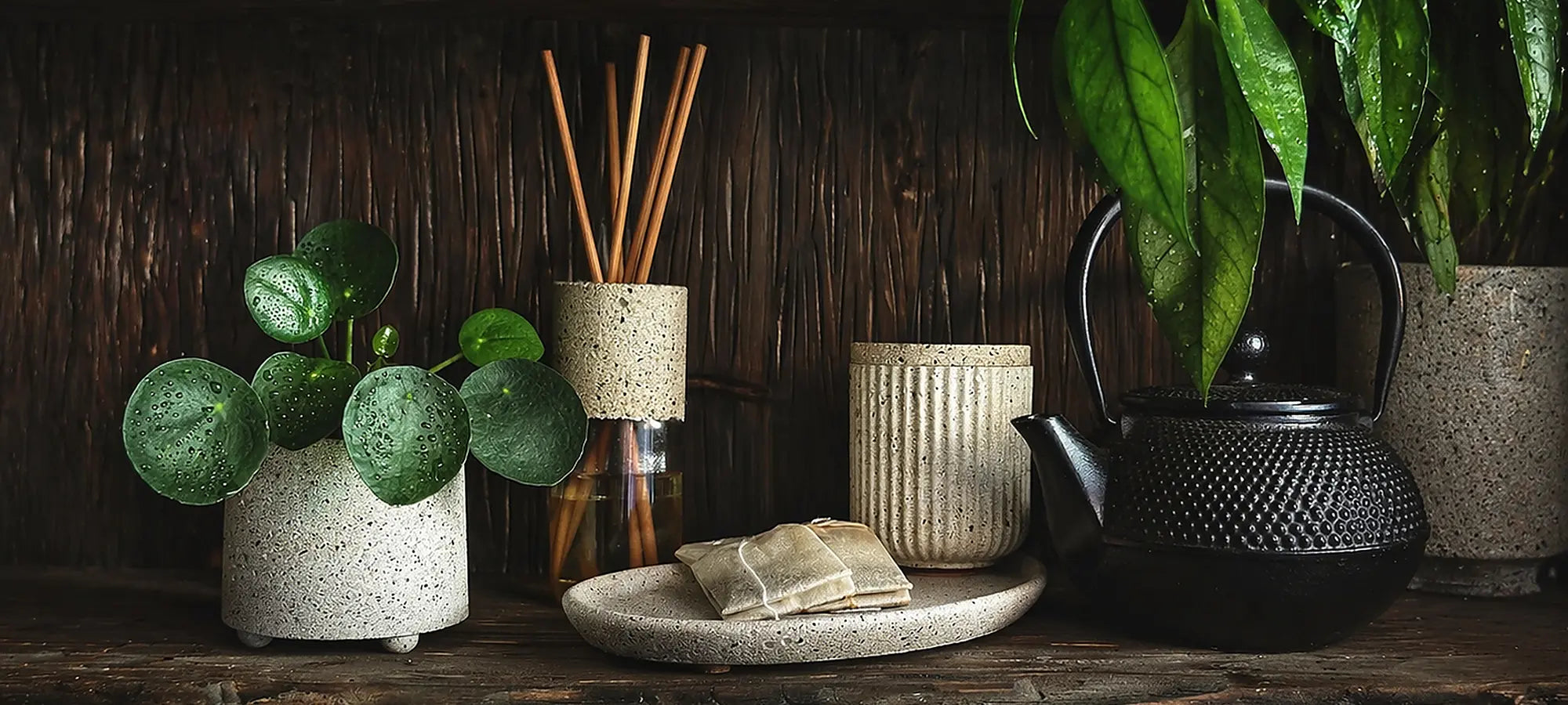 Stilechtes Stillleben aus handgefertigten Beton- und Wohnaccessoires auf dunklem Holz: Ein kleiner Pflanztopf mit einer Pilea-Pflanze, ein Raumduft-Diffuser aus Glas und Beton mit Holzstäbchen, eine ovale Betonschale mit Teebeuteln, eine geriffelte Betondose und eine schwarze, gusseiserne Teekanne vor einer rustikalen Holzwand.