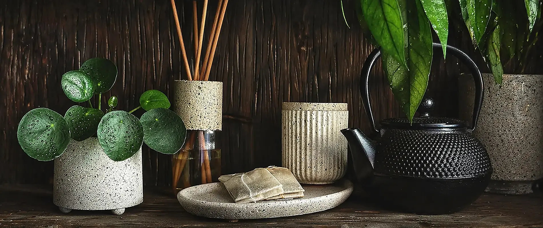 Handgemachte Wohndekoration aus Beton vor dunklem Hintergrund: Pflanzgefäß mit grüner Zimmerpflanze, Raumdiffuser, Betontablett und eine strukturierte Aufbewahrungsdose neben einer schwarzen Teekanne.